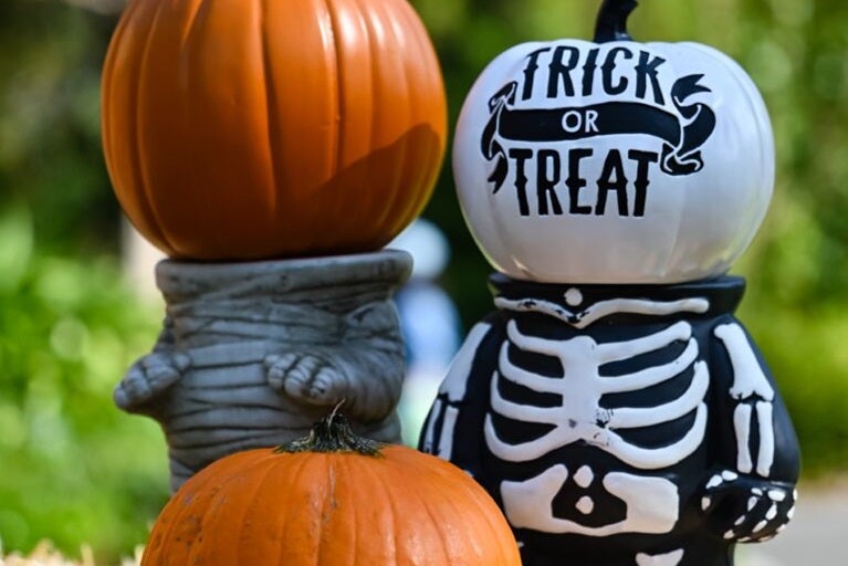 Beluga Air in San Antonio TX