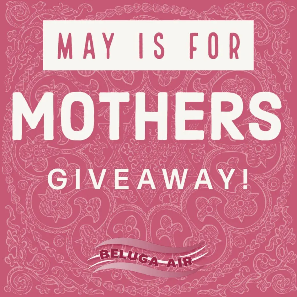 Beluga Air in San Antonio TX