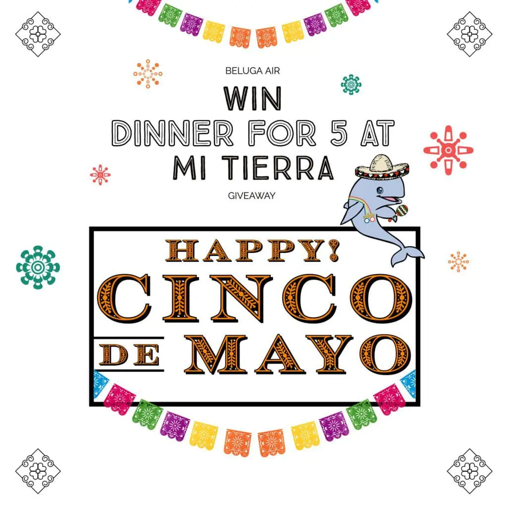 Beluga Air in San Antonio TX